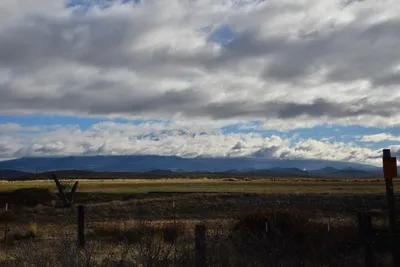 DSC_5877 (Large).JPG